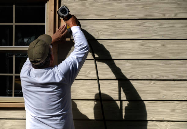 Best Custom Siding Design  in Seminole, FL